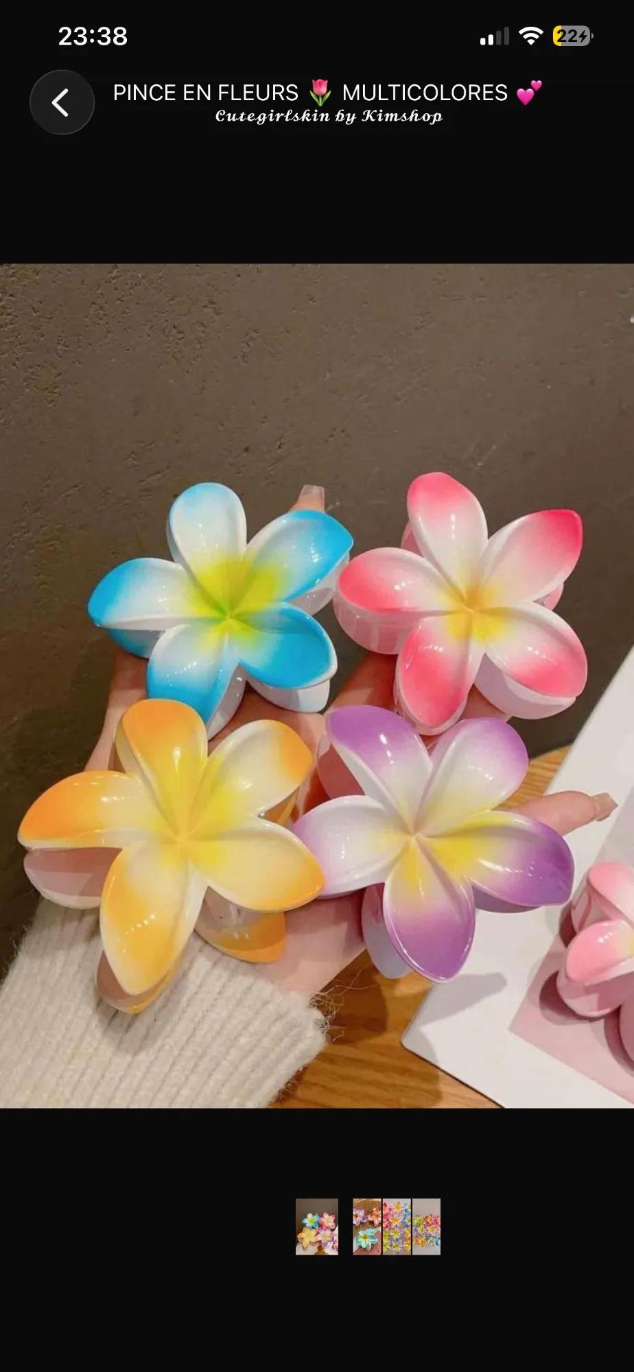 🎀Pince en fleurs 🌸