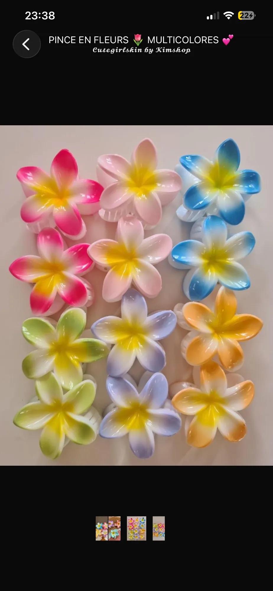 🎀Pince en fleurs 🌸