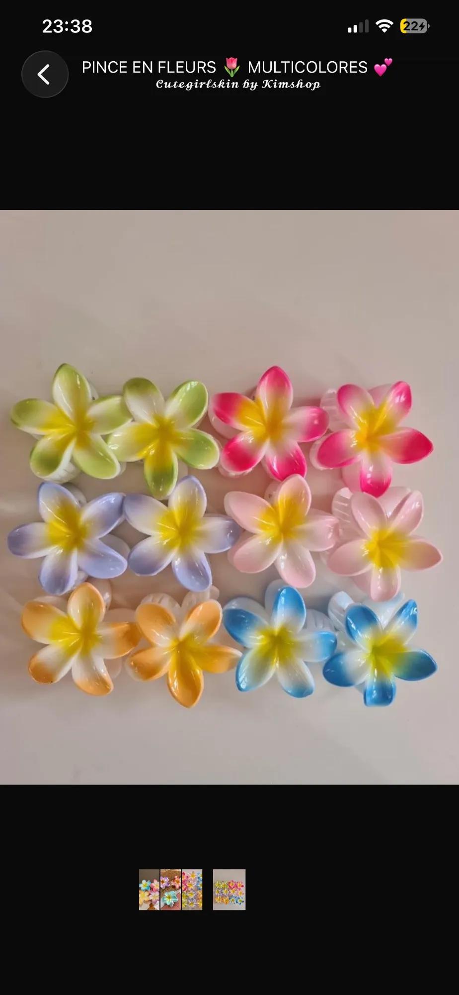 🎀Pince en fleurs 🌸