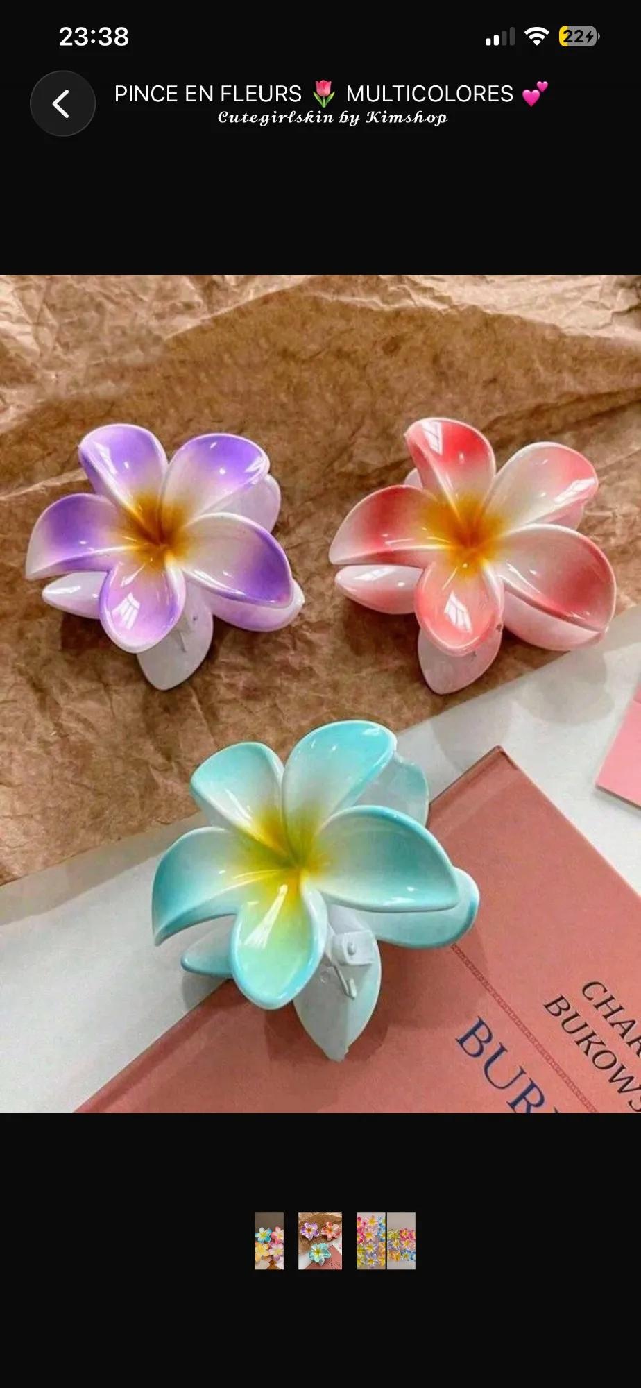 🎀Pince en fleurs 🌸