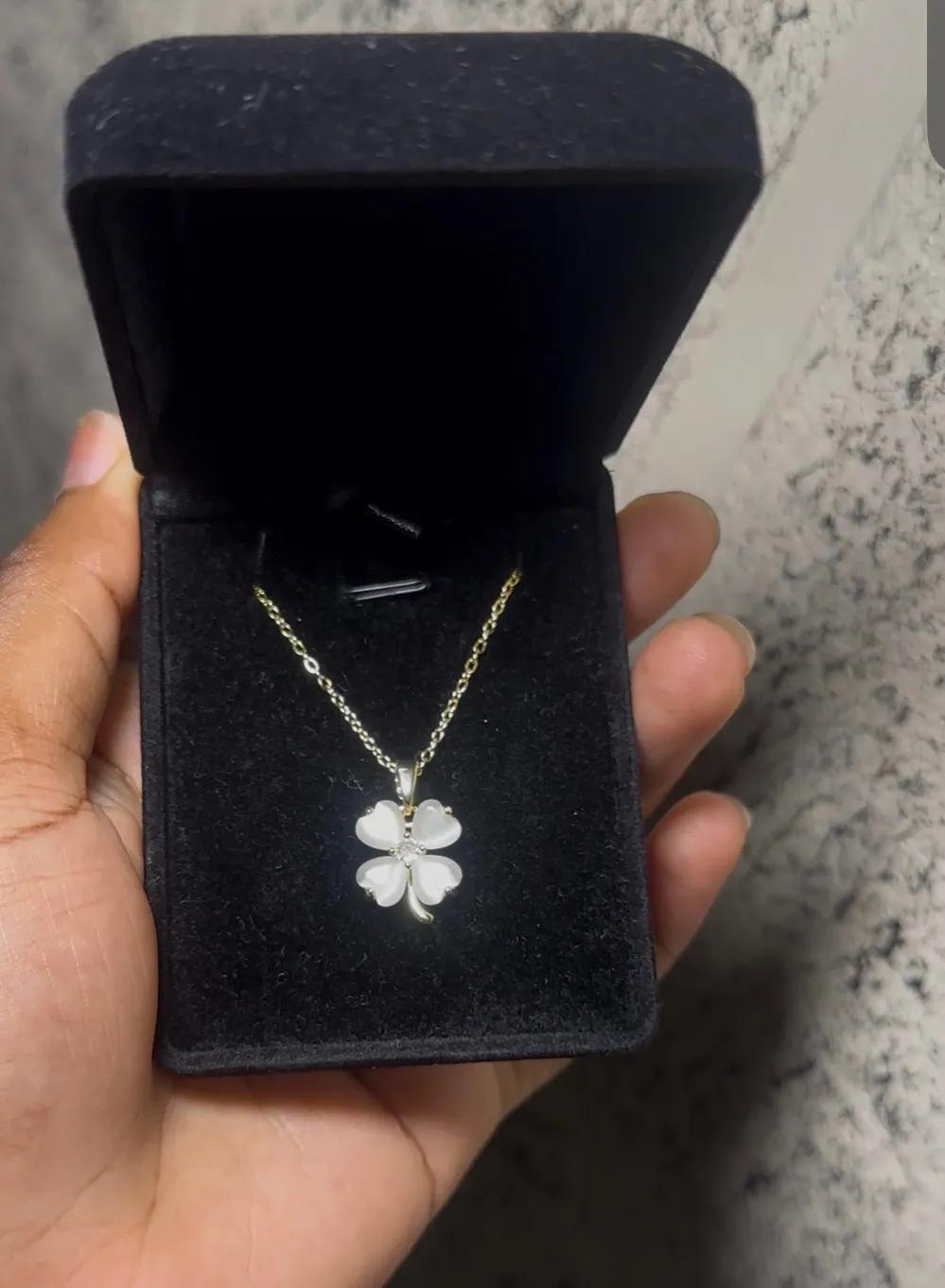 Collier en acier inoxydable